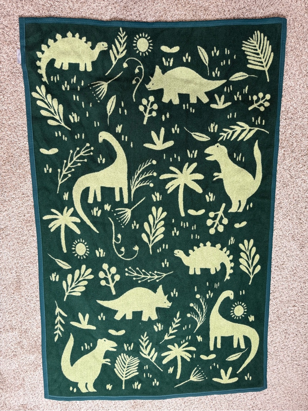 Chappywrap Cotton Blanket Dinosaur Green Germany Two Sided 36”x56”
